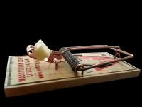 rat traps
