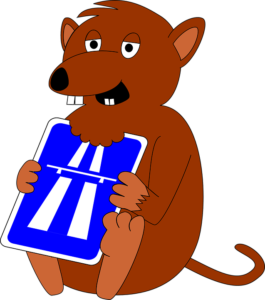 rat traps