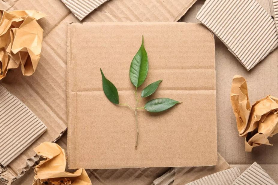 sustainable e-commerce packaging